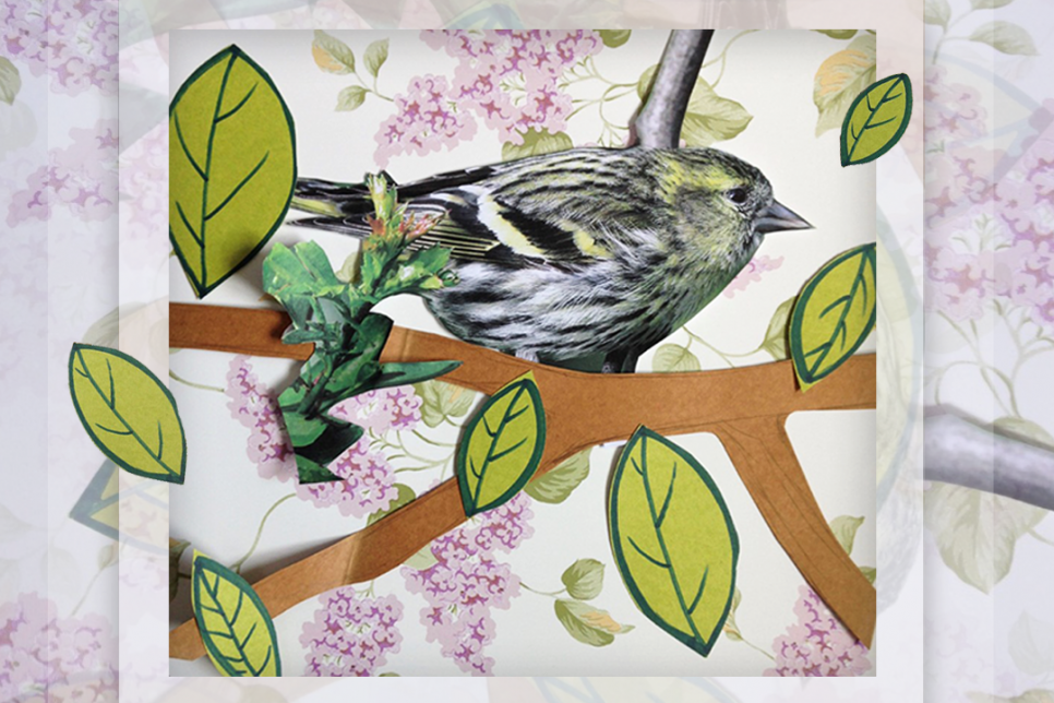 Photo collage of bird, flowers and leaves