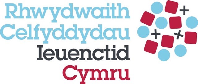 Youth Arts Network <b>Cymru highlights</b> amazing work in youth arts ...