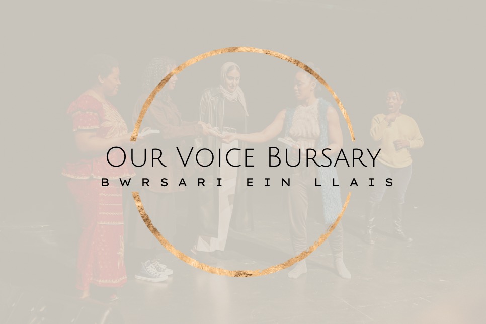 Logo Our Voice Bursary