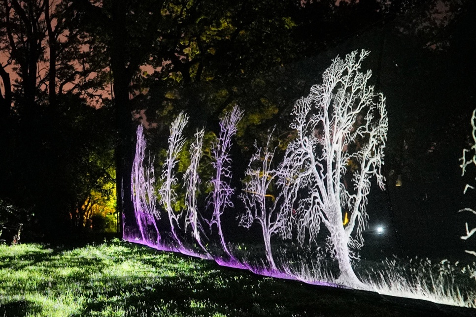 Light projection of white and purple trees onto fabric screen in a dark forest