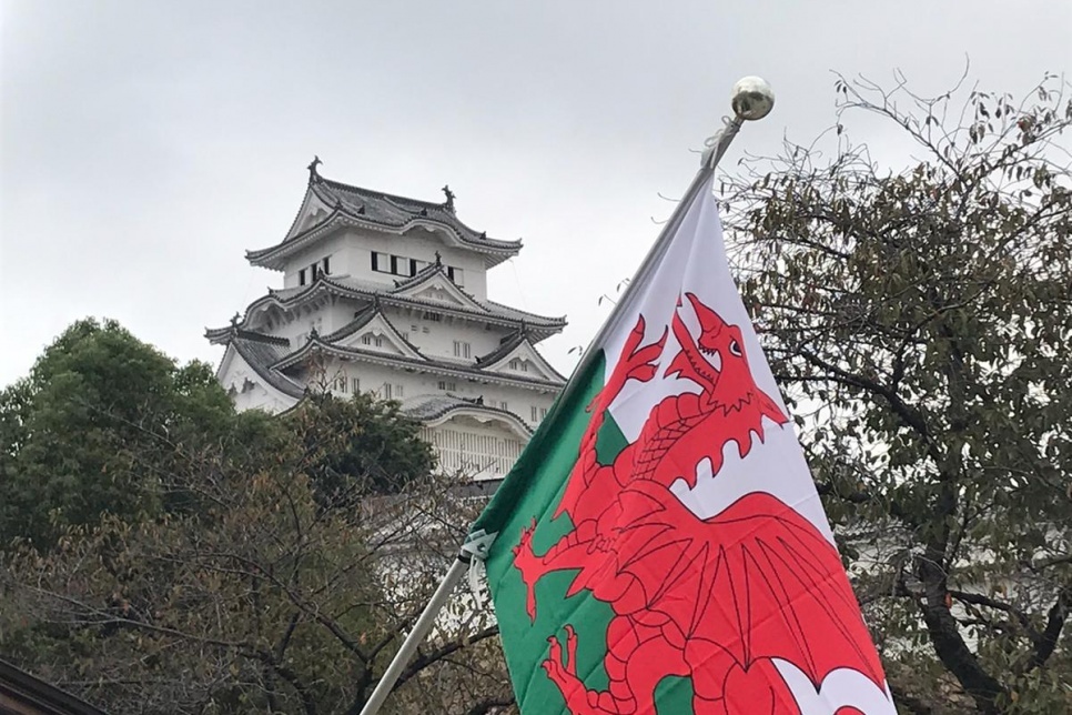 Welsh flag with Japanese building in the backgorund