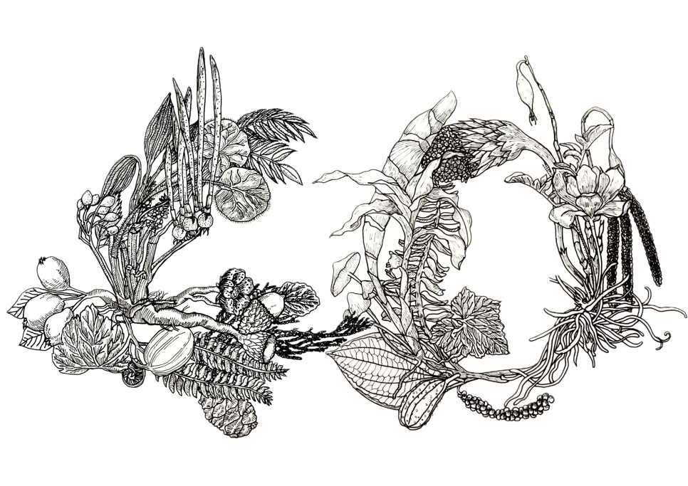 Black line illustration of flowers and plants twisted into the letters C and O
