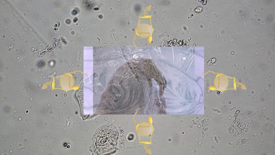 Artwork containing abstract grey, gold and lilac shapes