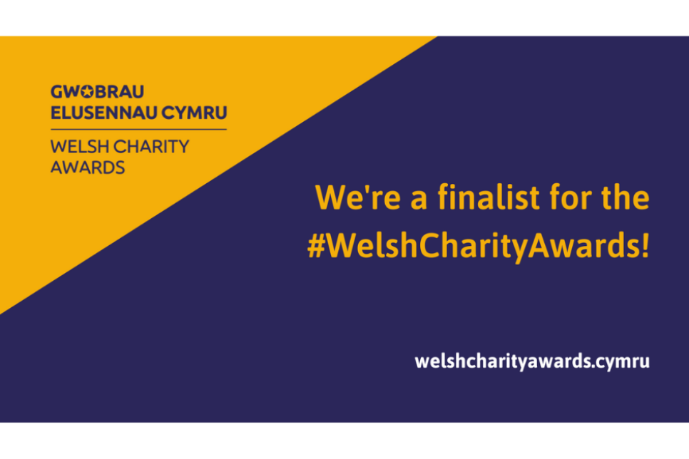 Image - Highlighting that SPAN Arts has been shortlisted for an award / Delwedd - yn tynnu sylw bod SPAN Arts ar restr fer ar gyfer gwobr