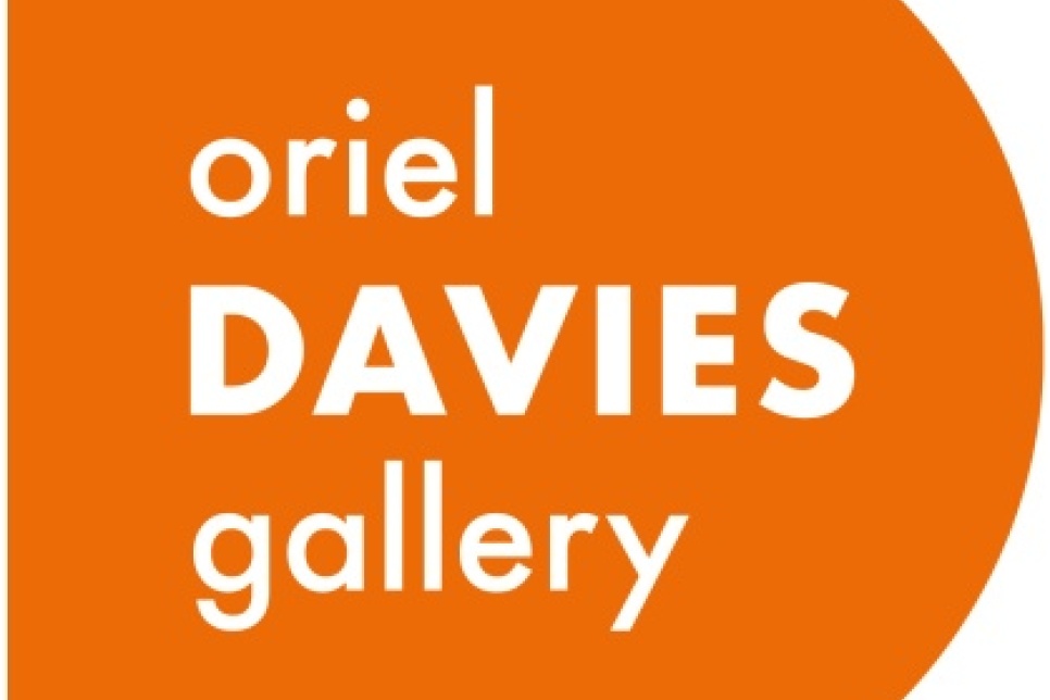 Logo - Oriel Davies Gallery