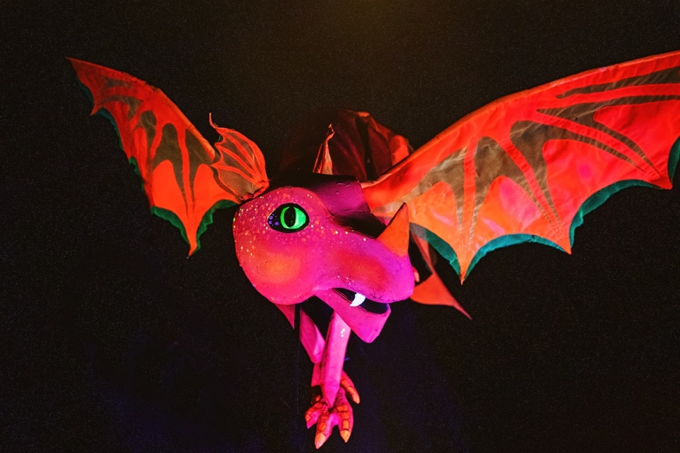 Delwedd o 'Amaze Dragon' / Image of 'Amaze Dragon' 