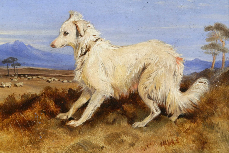 Painting of a sheepdog