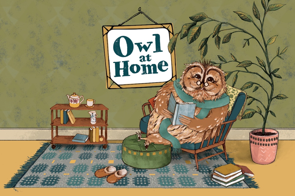 Illustration of an Owl at home 