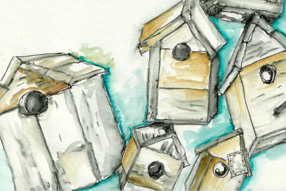 Illustrated image of birdboxes / Delwedd wedi ei ddarlunio o flychau adar