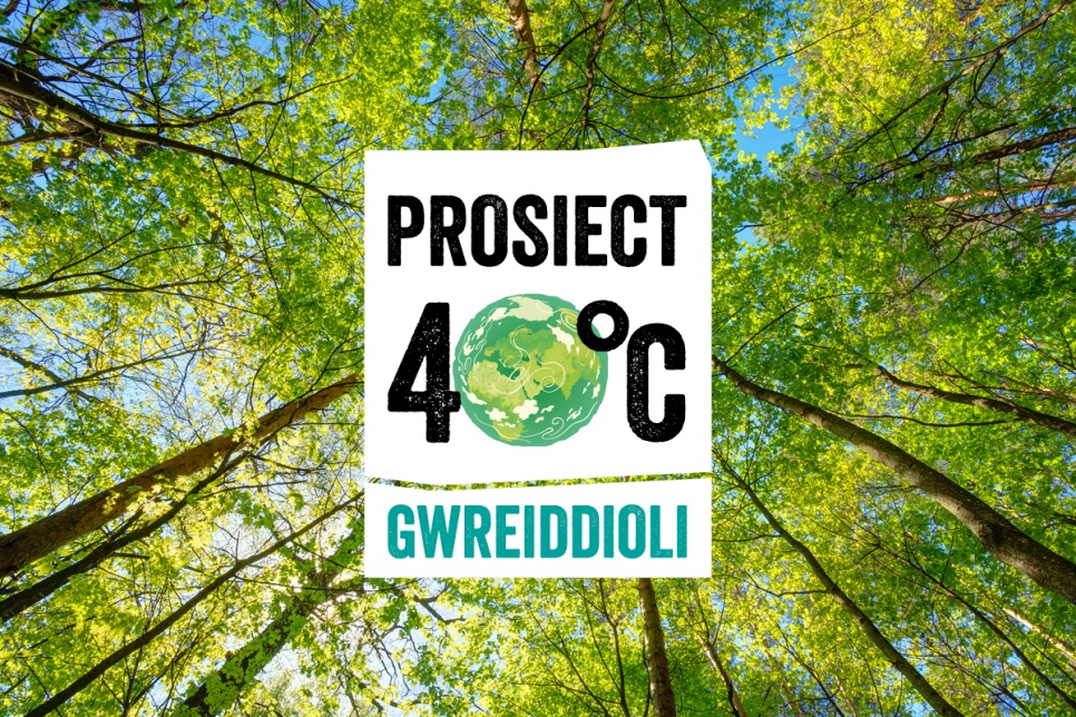 Prosiect 40°C logo on a background of trees