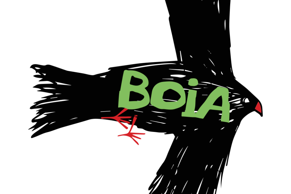 Logo - Boia Festival, St Davids / Gŵyl Boia, Tŷddewi  